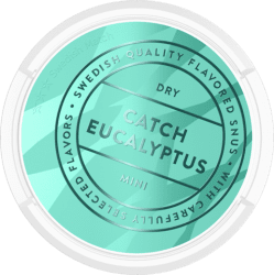 Catch Dry White Eucalyptus Mini _ Snushallen