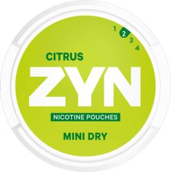 ZYN Citrus 2 Mini Dry - Snushallen