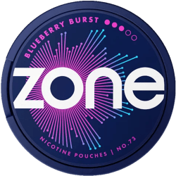 ZONE No. 73 Blueberry Burst 10mg
