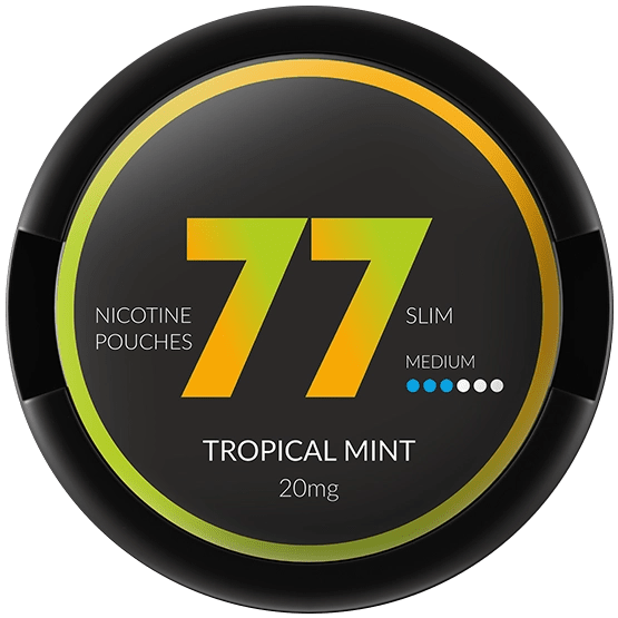 77 Tropical Mint dosa